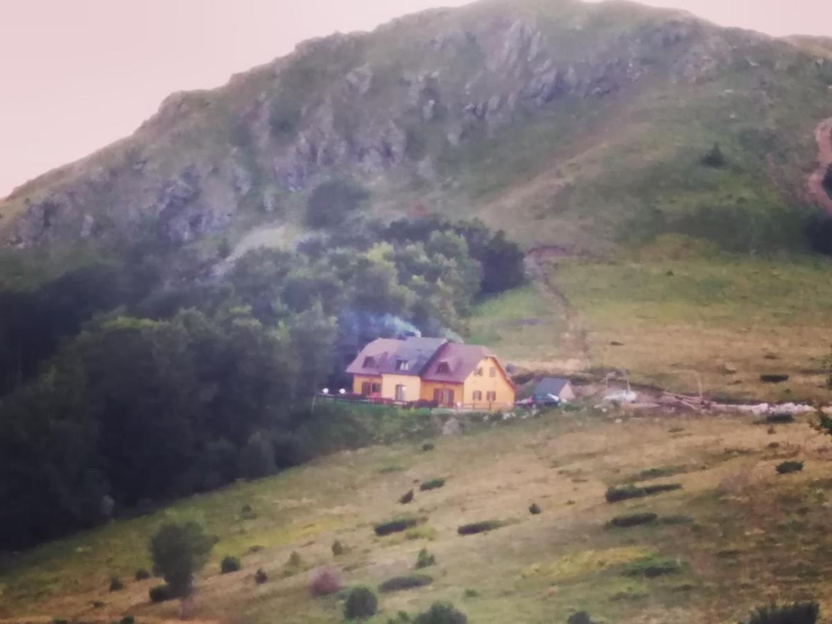 Vikendica Vila Despotovic 카파오닉 외부 사진
