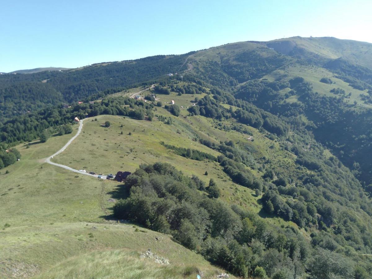 Vikendica Vila Despotovic 카파오닉 외부 사진