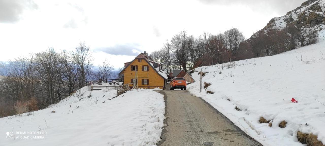 Vikendica Vila Despotovic 카파오닉 외부 사진