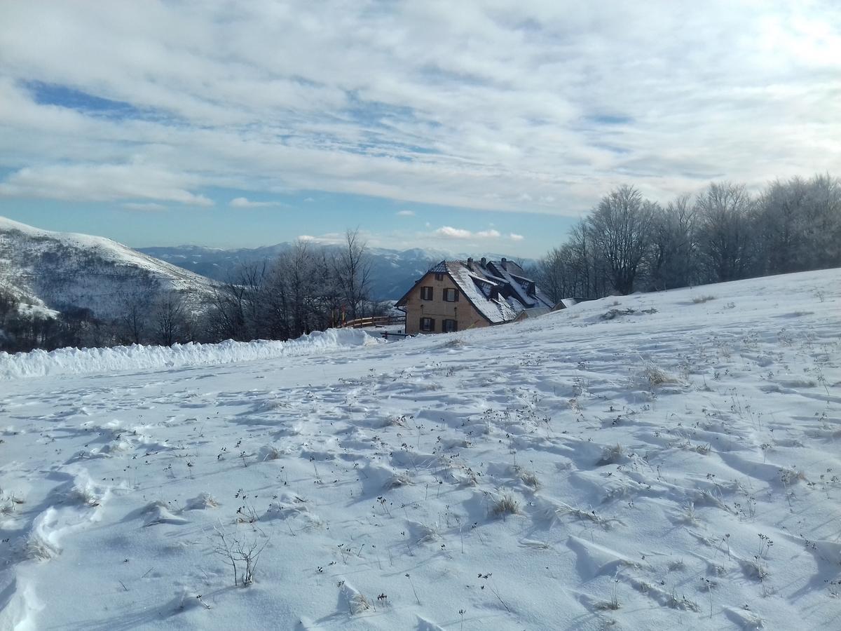 Vikendica Vila Despotovic 카파오닉 외부 사진