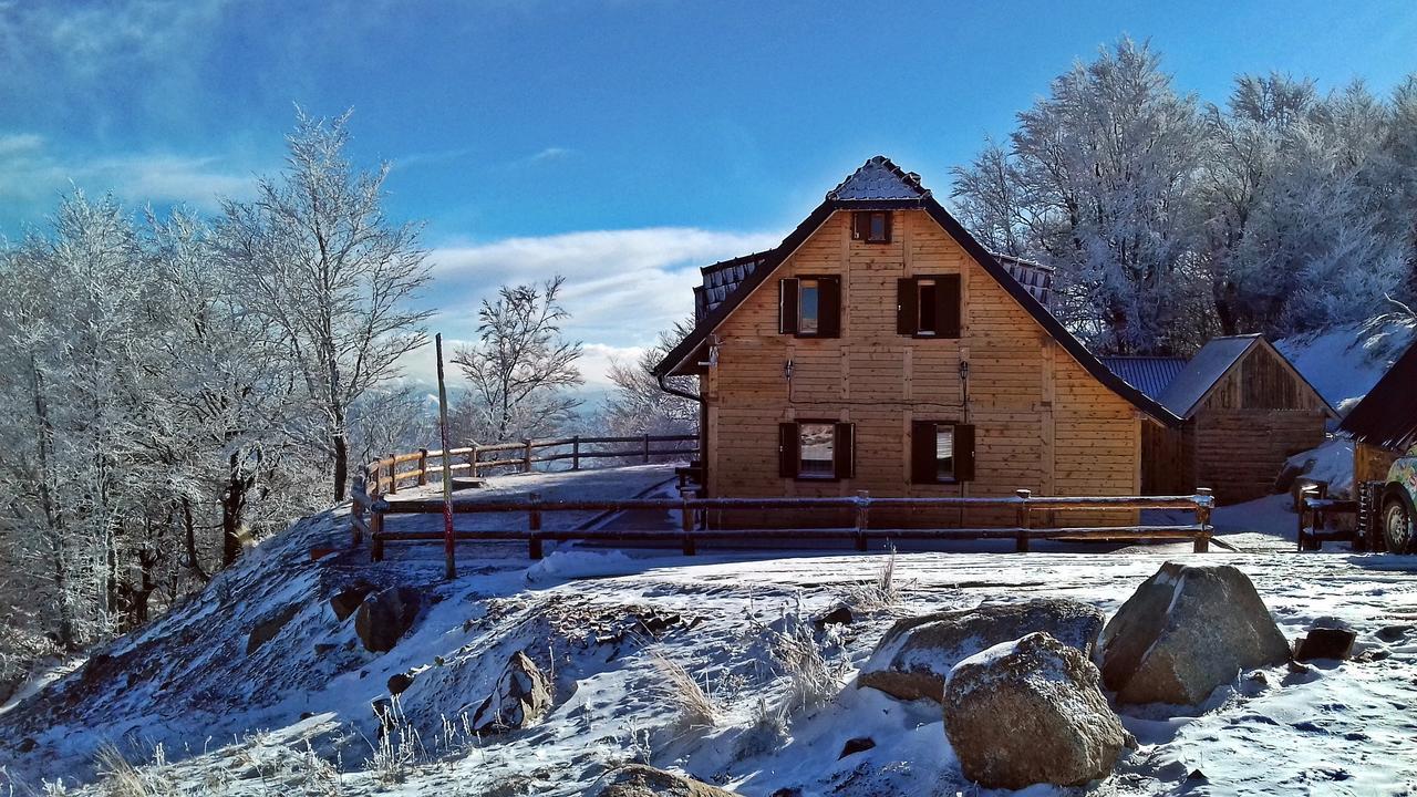 Vikendica Vila Despotovic 카파오닉 외부 사진