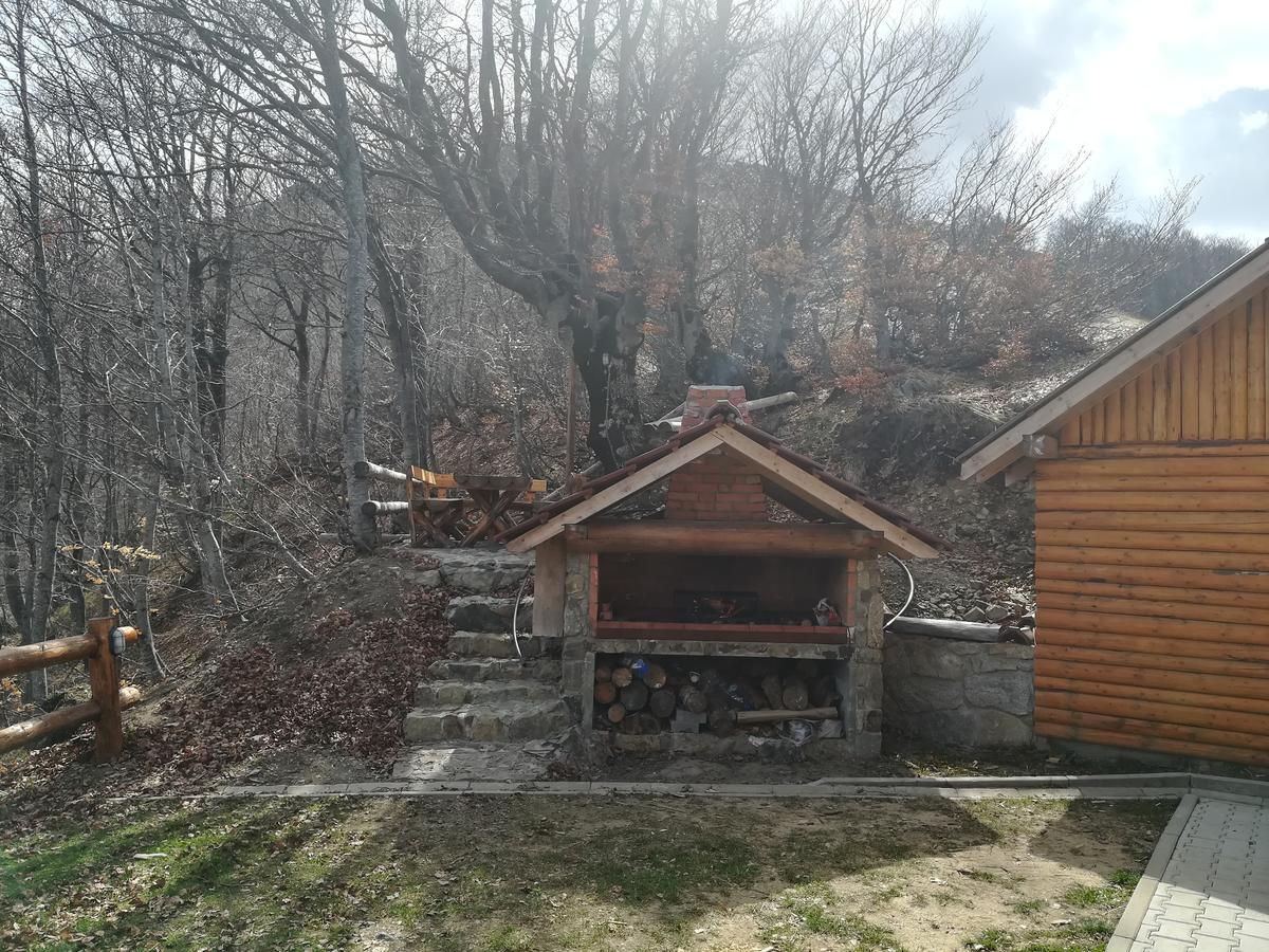 Vikendica Vila Despotovic 카파오닉 외부 사진