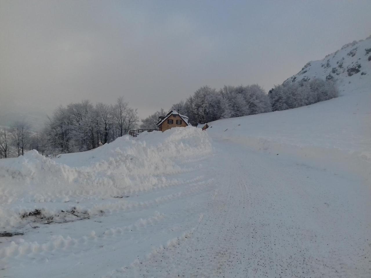 Vikendica Vila Despotovic 카파오닉 외부 사진