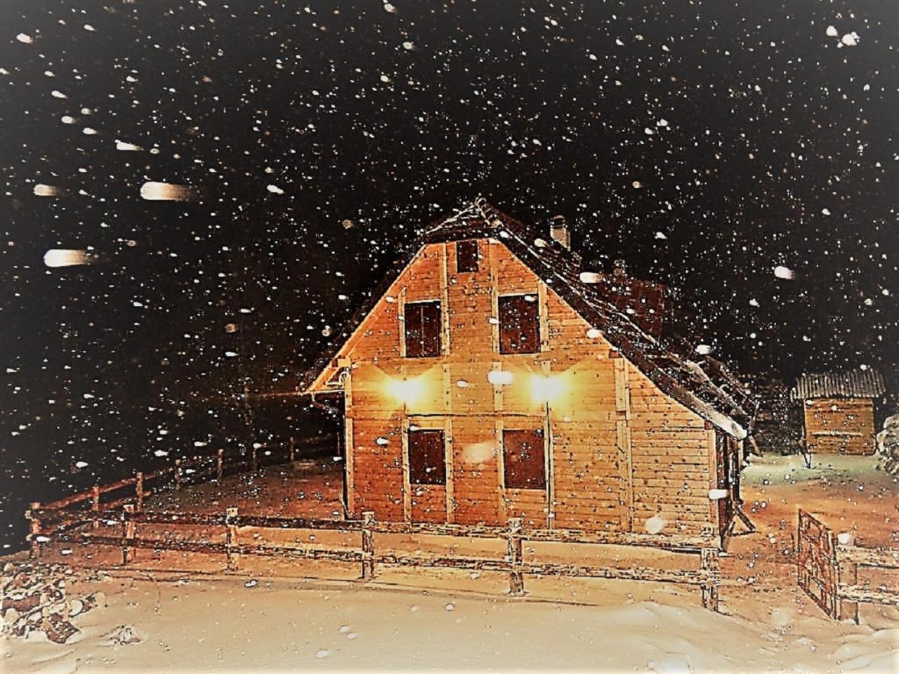 Vikendica Vila Despotovic 카파오닉 외부 사진