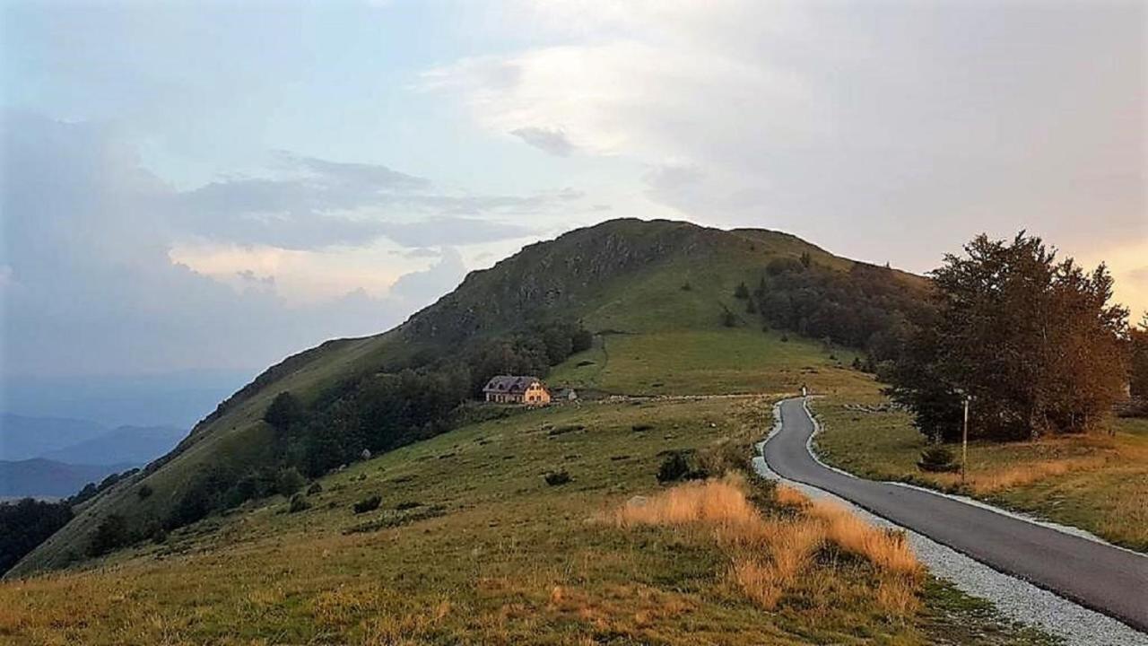 Vikendica Vila Despotovic 카파오닉 외부 사진
